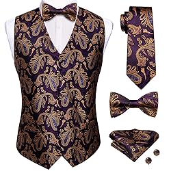 Hi-Tie Mens Suit Vest Bowtie Set Ties for Men V