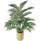 Artificial Palm Tree 24" Faux Plants Décor Indoor Outdoor,Fake Plastic Areca Palm Plants in a Woven Pot for Home and Office -