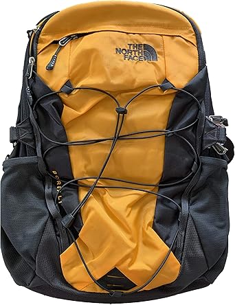 the north face borealis backpack amazon