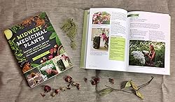 Midwest Medicinal Plants: Identify, Harvest, and
