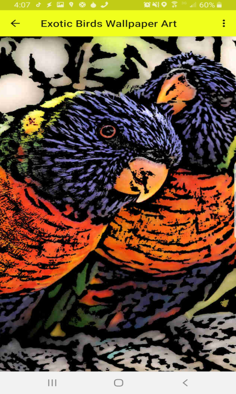 Exotic Birds Wallpaper Art (HD)