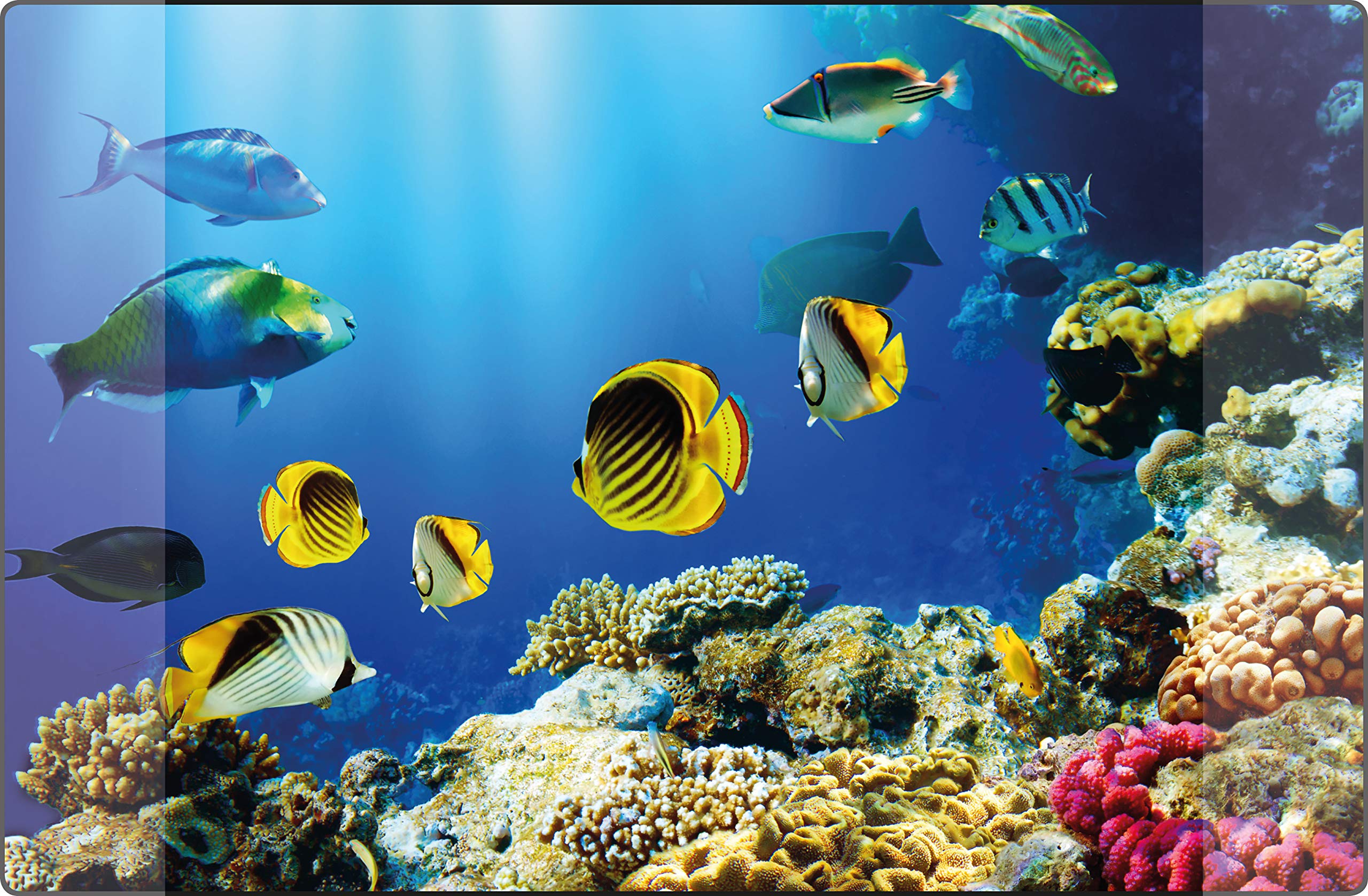 Kangaro K-0014D115 Desk Mat PP 38 x 58 cm Aquarium