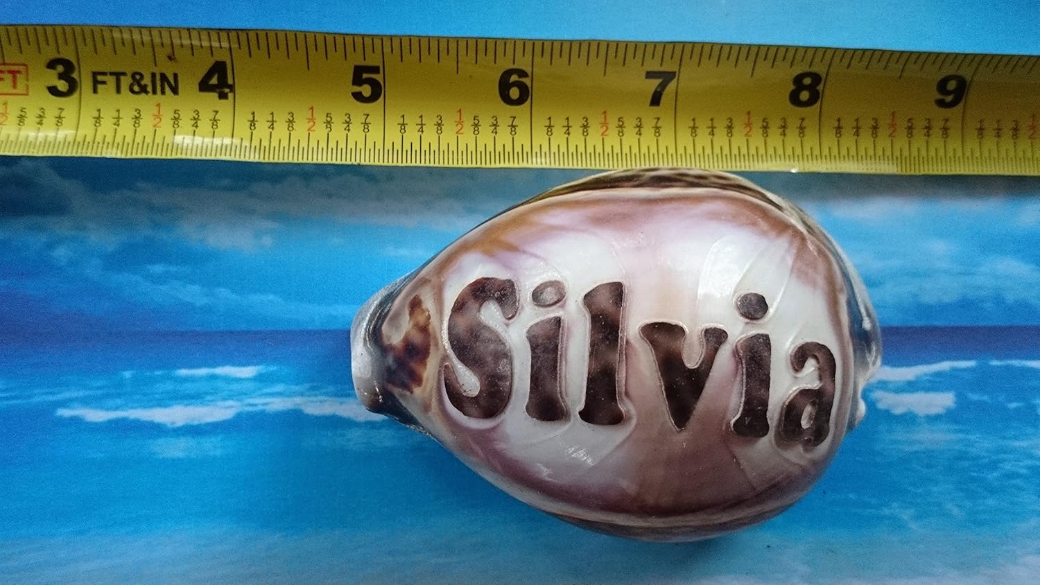Amazon.com: 'Silvia' Personalized Custom Engraved Shells. Names ...
