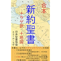 gapponshinyakuseishopurasurageyakupurasuchizu (Japanese Edition) book cover