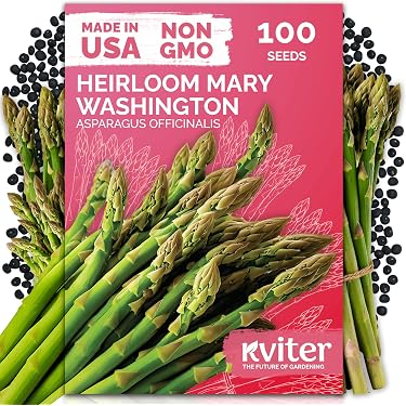 where can i buy an aloe vera plant near me Aloe Vera Plant Nursery 4"