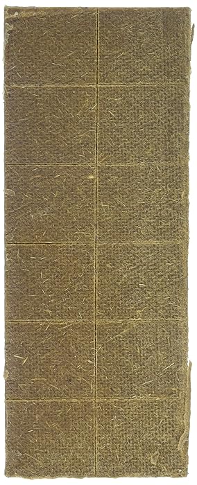 The Best Put Out A Fire In A Neighbor’s Oven