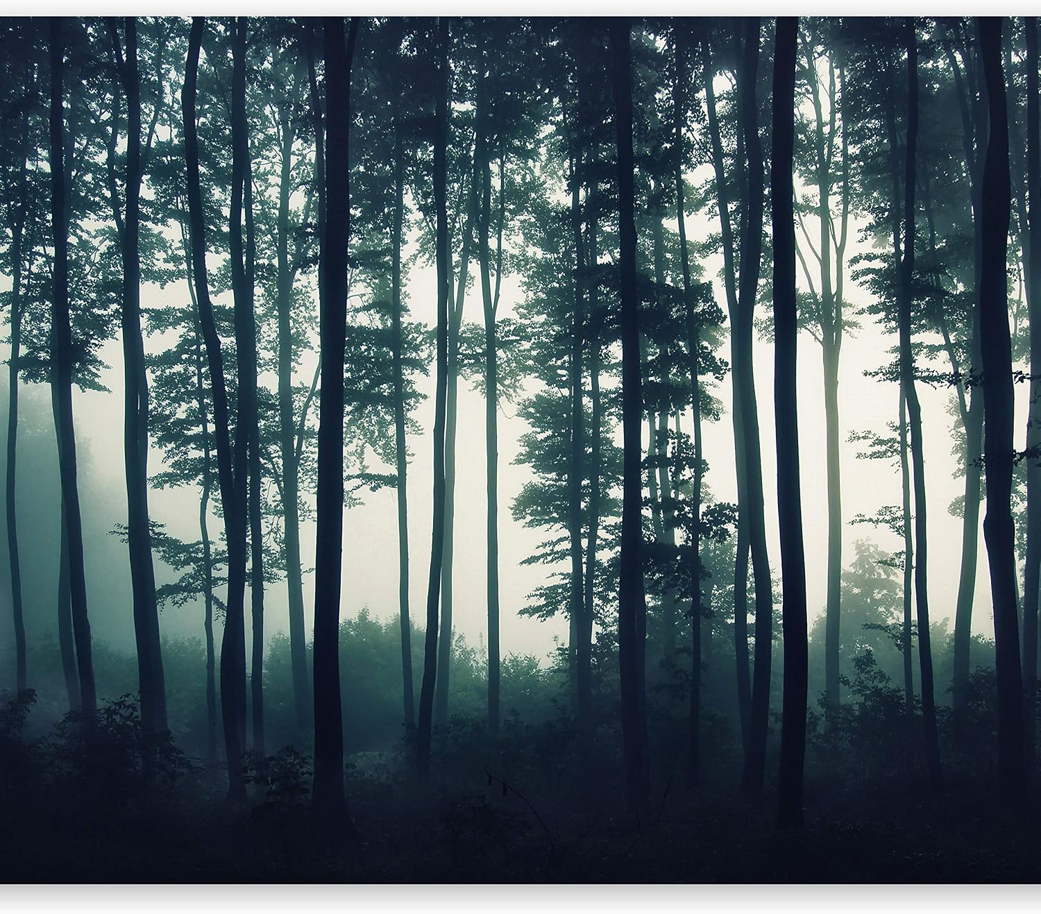 artgeist Wall Mural Forest 116"x83" XXL Peel and Stick Self-Adhesive