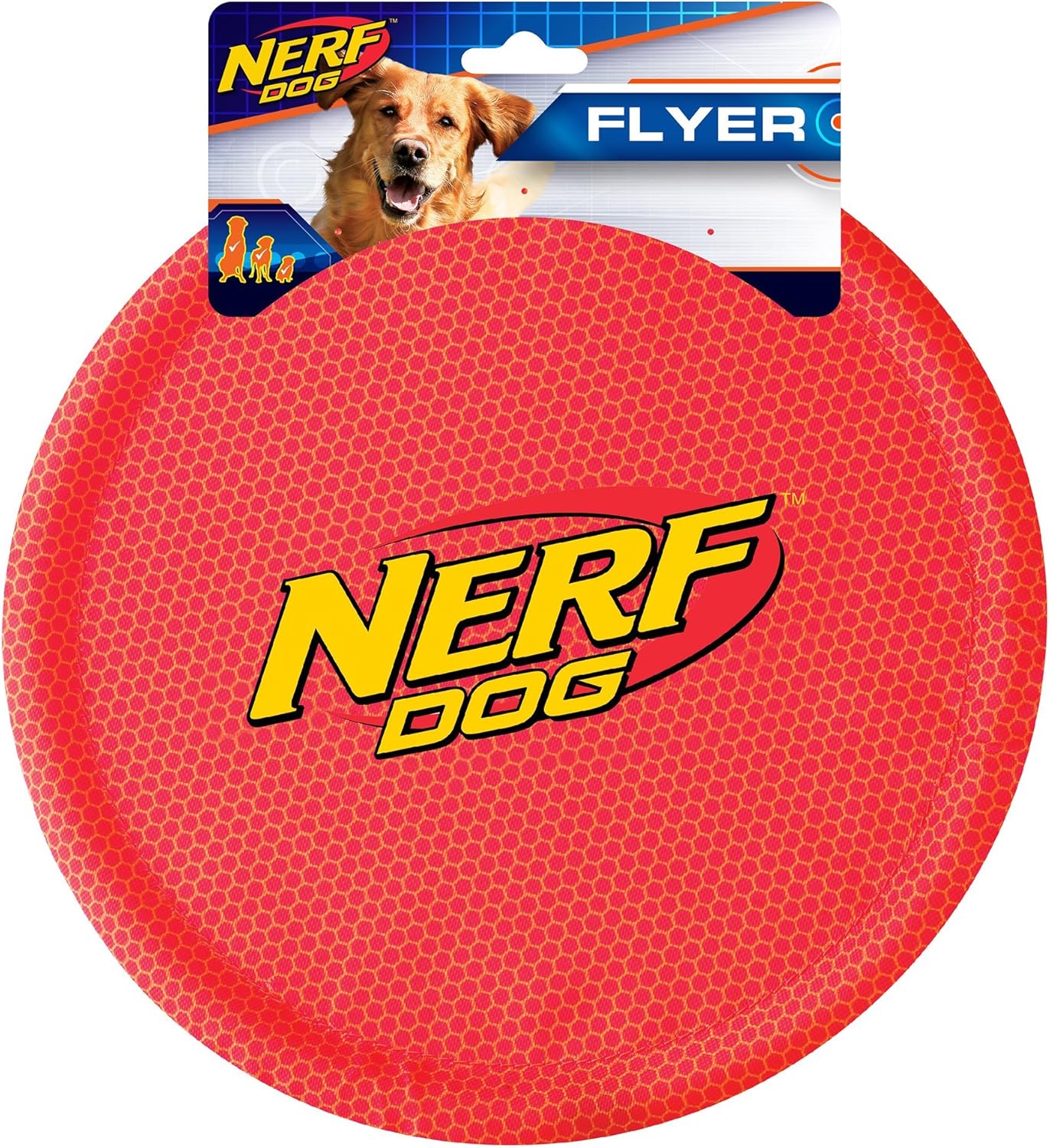 st bernard 3 months old