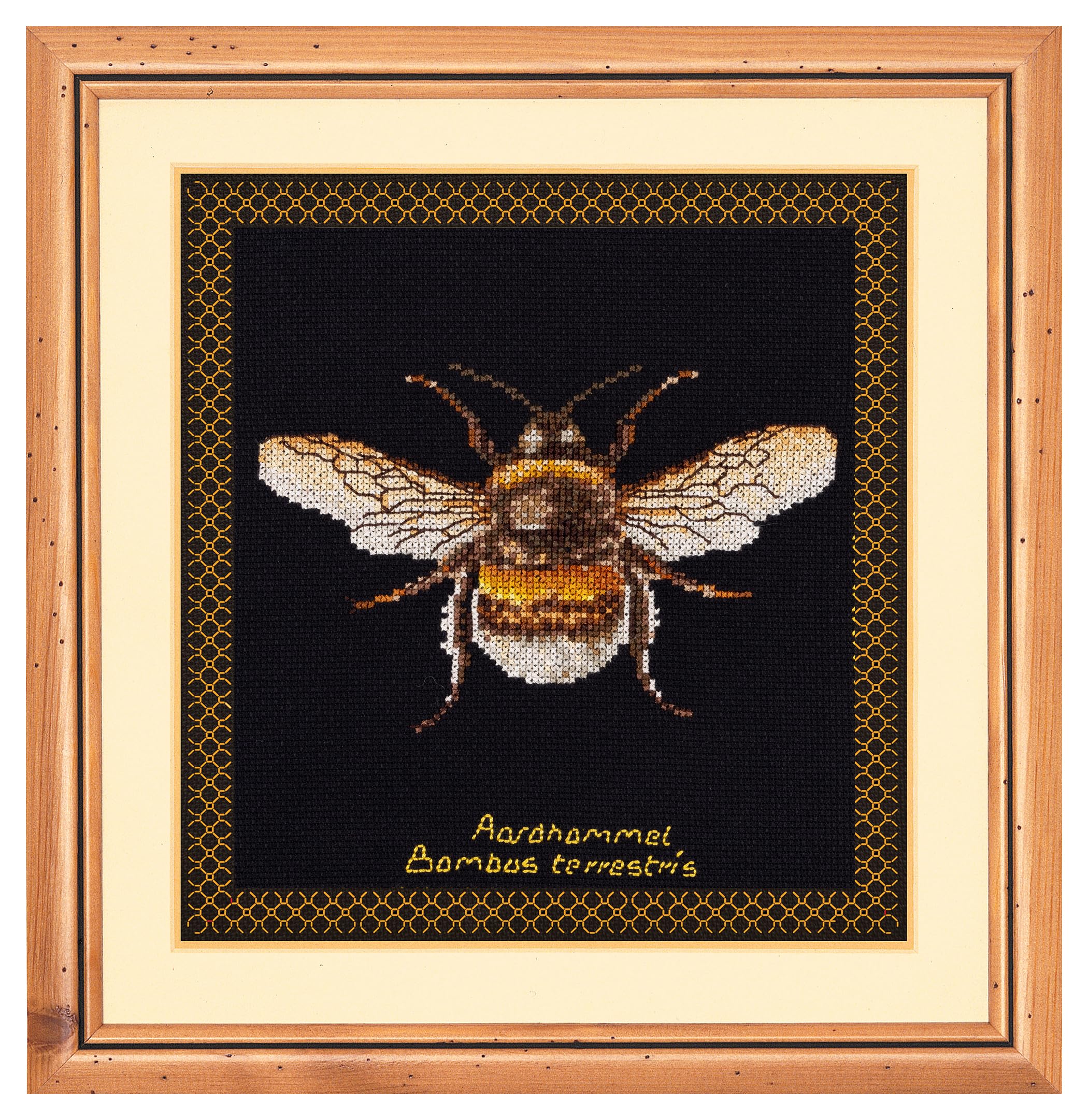 Thea Gouverneur - Counted Cross Stitch Kit - Bumble Bee - Aida Black - 16 Count - Embroidery Kit for Adults - DMC Embroidery Threads and Other Cross Stitch Supplies Included - 3018.05