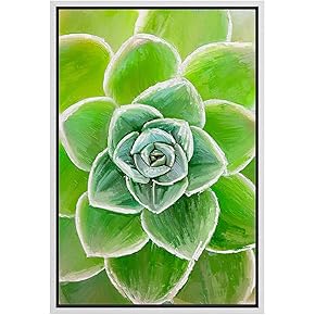SIGNWIN Framed Canvas Wall Art Tropical Succulent Plant...
