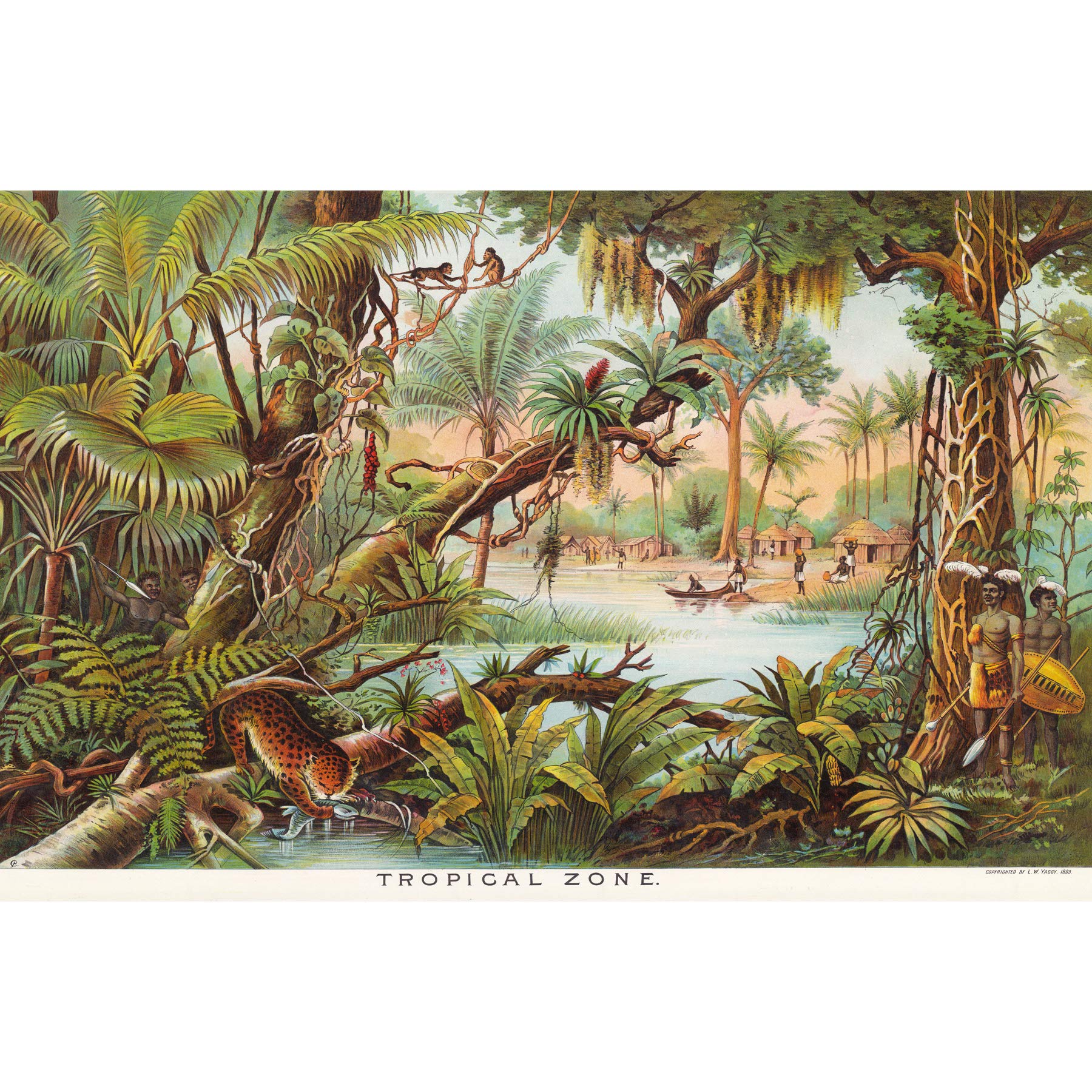 Artery8 Map Yaggy 1893 Tropical Zone Jungle Animals Premium Wall Art Canvas Print 18X24 Inch