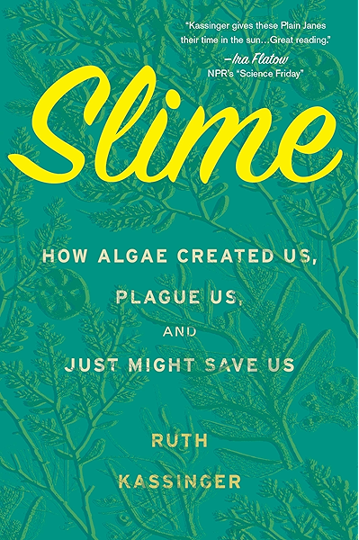 slime book amazon