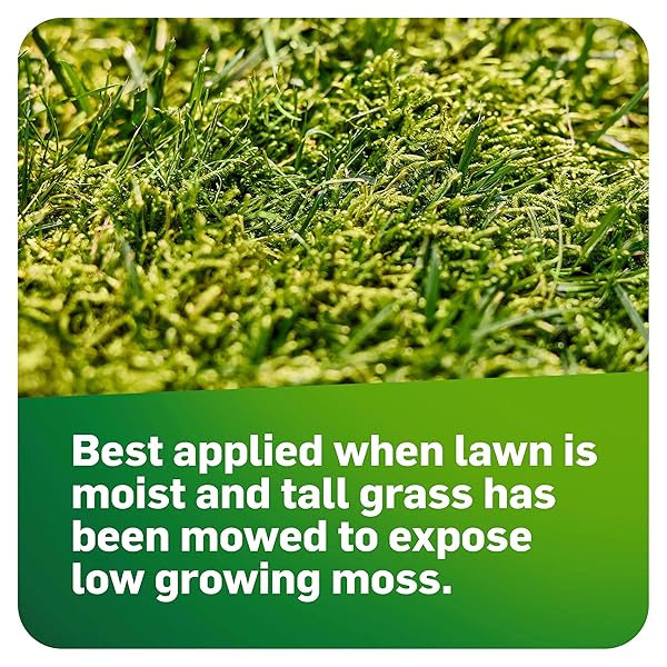 SCOTTS MOSSEX, MOSS KILLER FOR LAWNS, EASY-TO-USE SHAKER JUG, CONTAINS FERTILIZER TO GREEN GRASS, 4.59 LBS.