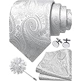 GUSLESON Paisley Tie Set for Men 3.15" Necktie Lapel Pin Hankerchief Cufflinks Set for Men