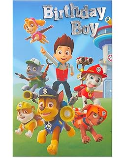 paw patrol for 5 year old boy