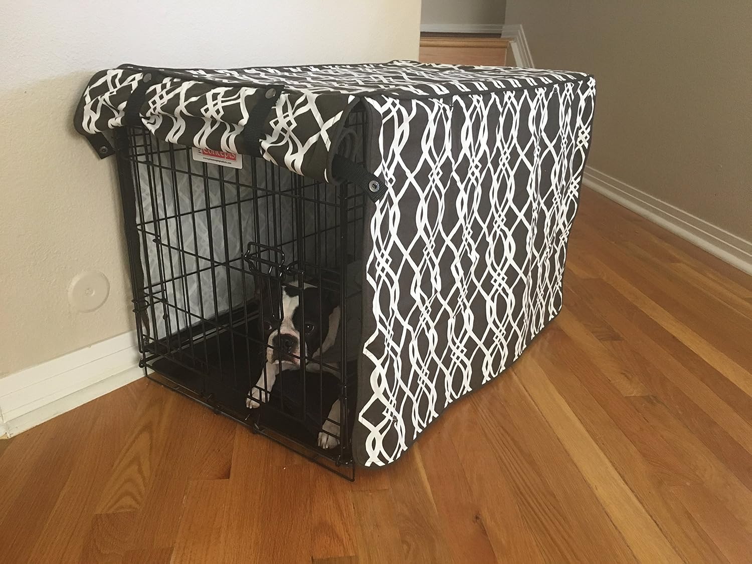 designer kennel