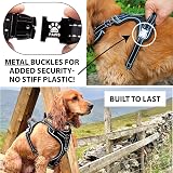 Elite Paws Premium Metal Buckle Dog Harness Black Medium UK view 2