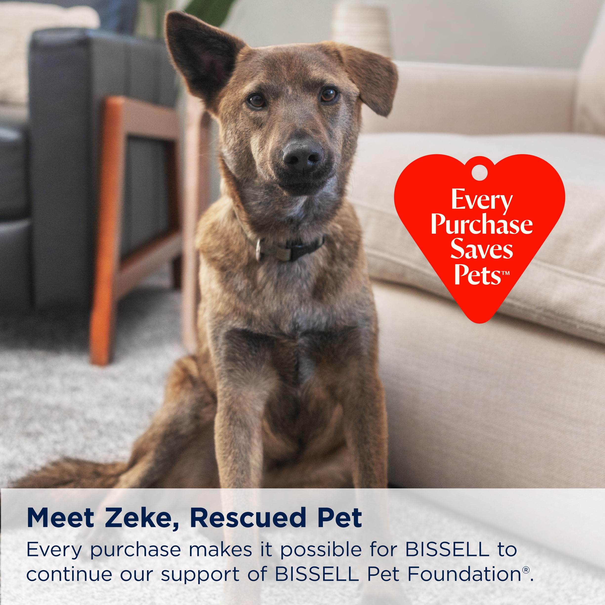 Bissell Little Green® Max Pet SmartMix Portable Carpet and Upholstery Deep Cleaner, Car/Auto Detailer, with SmartMix Technology, Self-Cleaning Tough Stain Tool and Pet Hair Removal Tool, 38572