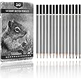 Mr. Pen- Sketch Pencils for Drawing, 14 Pack, Drawing Pencils, Art Pencils, Graphite Pencils, Graphite Pencils for Drawing, A
