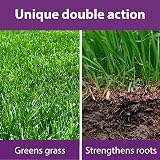 Flower Power Lawn Magic 5L - Double Action Grass Feed for Strong Roots view 5