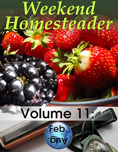 Download Weekend Homesteader: February (English Edition) PDF