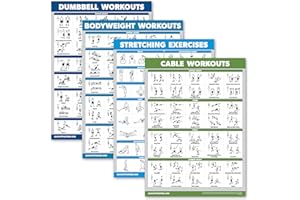 Palace Learning 4 Pack - Dumbbell Workouts + Bodyweight Workouts + Stretching Exercises + Cable Workout - Set of 4 Workout Ch