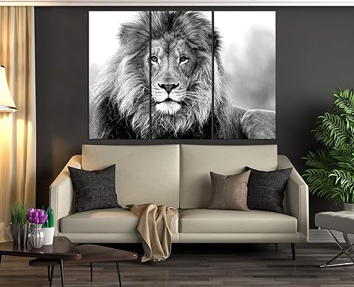 Amazon Com Large Black And White Wall Art Canvas Lion Wall Art