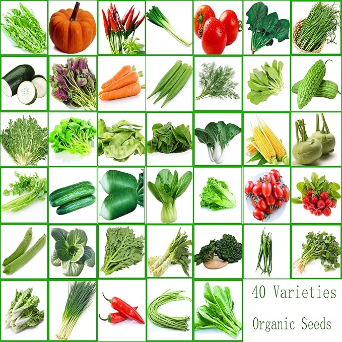 40 Packs of Vegetables Seeds 22000pcs Varieties Organic Fresh Plants