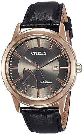 Legacy (Day & Date) Mens Wrist Watch A824BR04