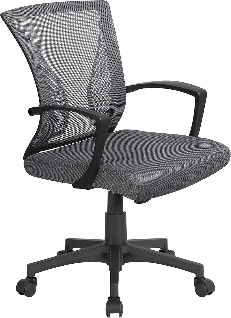 Yaheetech Dark Grey Ergonomic Office Chair Mid-Back Mesh Lumbar Support