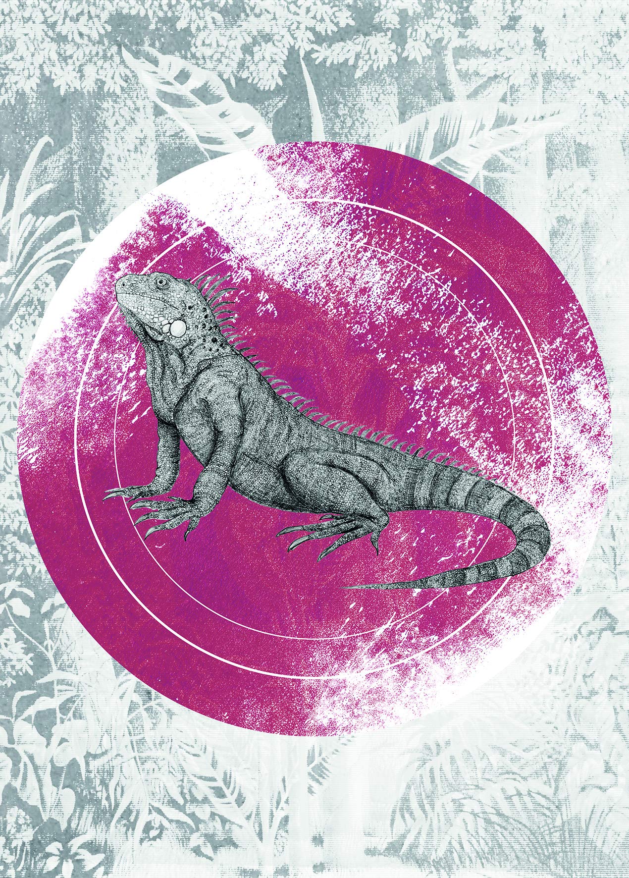 Komar Wall Picture Iguana Circle Poster Picture Living Room Bedroom Decoration Art Print Without Frame P077C-50x70 Size 50 x 70 cm (Width x Height)