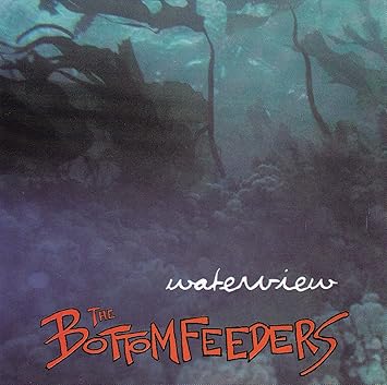 The Bottomfeeders Waterview Amazon Com Music