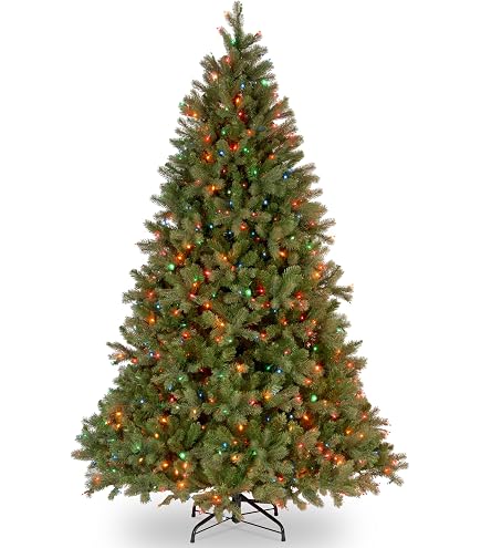 Amazon.com: National Tree Company 6 ft Pre-Lit Kincaid Spruce