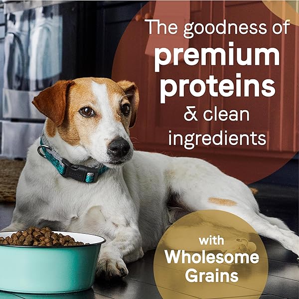CANIDAE PURE LIMITED INGREDIENT PREMIUM ADULT DRY DOG FOOD, REAL SALMON & BARLEY RECIPE, 4 LBS, WITH WHOLESOME GRAINS