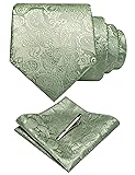 JEMYGINS Mens Sage Green Paisley Necktie and Pocket