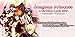 Forbidden Romance: Destiny's Princess