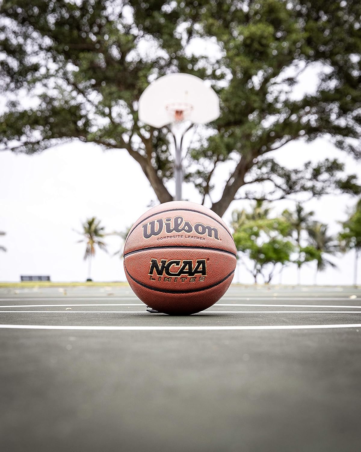 Wilson NCAA Limited Basketball: Sports & Outdoors
