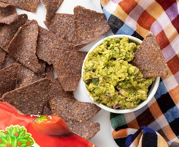 GARDEN OF EATIN’ ORGANIC RED HOT BLUES BLUE CORN TORTILLA CHIP 14 OZ