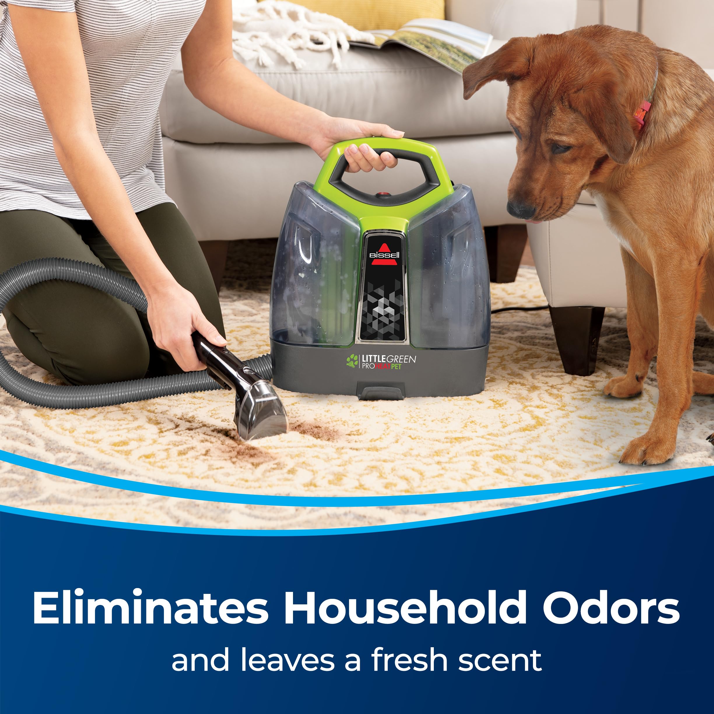 Bissell Little Green Spot & Stain Formula for Portable Carpet Cleaners, 2038G