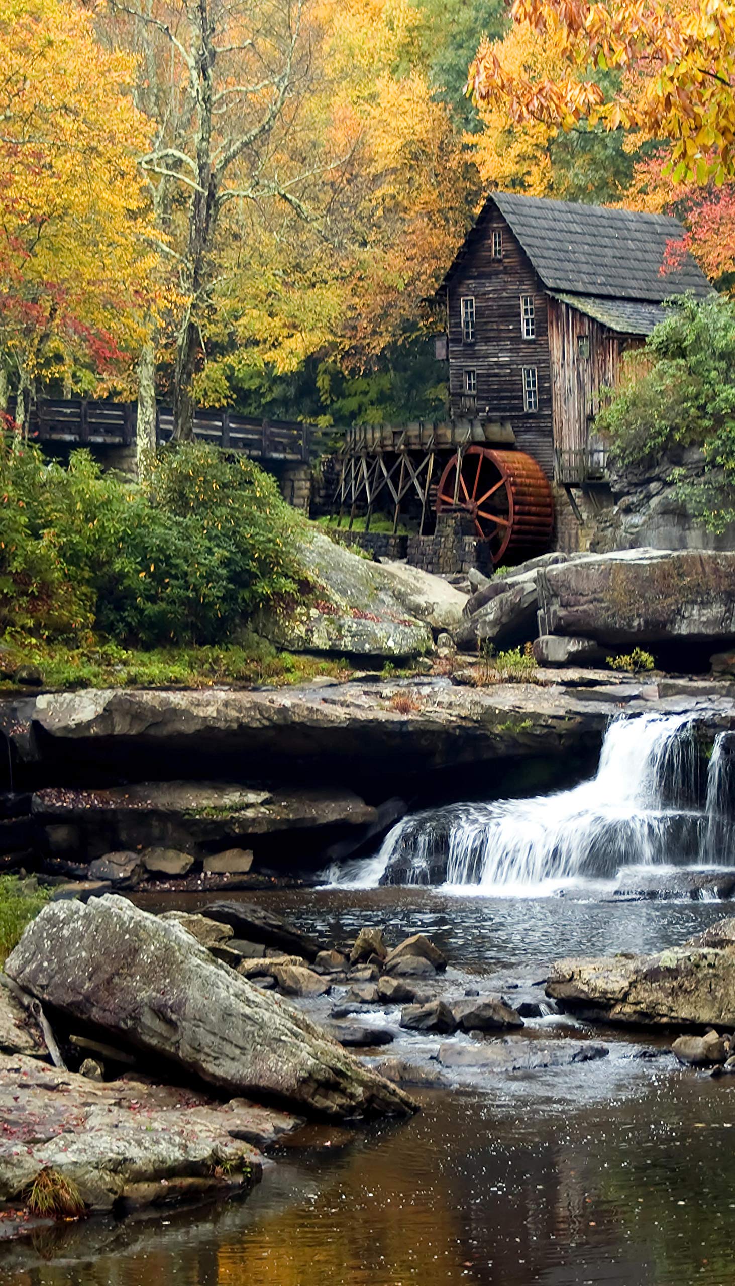 AG Design Vintage Water Mill Curtains for Living Room, Kitchen, Bedroom, Garden Shed, 140 x 245 cm, 1 Piece, FCP L 6599, Multi-Colour