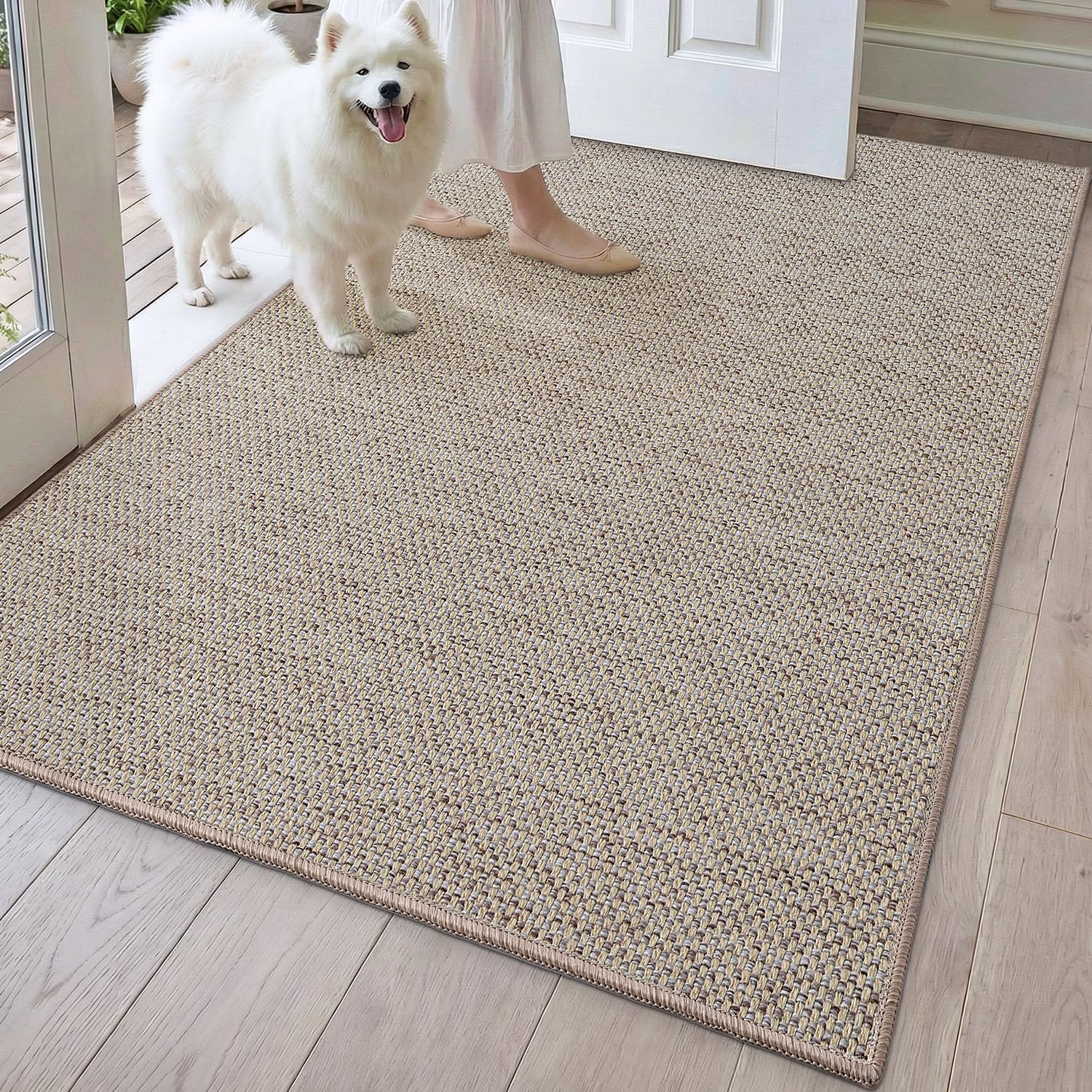 Photo 1 of DEXI Ultra Thin Door Mat Indoor Entrance 32x48, Non Slip Rubber Backed Entryway Mats Dirt Trapper, Low Profile Front Doormat for Inside Entry, Patio, Porch, Beige