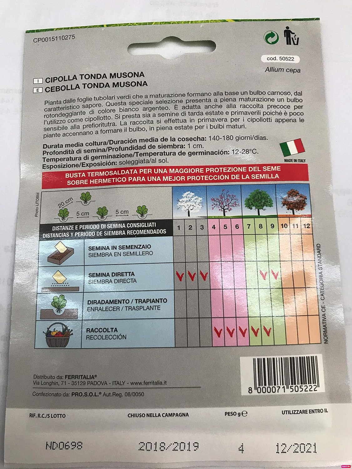 Semillas Cebolla Blanca (4 Gramos): Amazon.es: Jardín