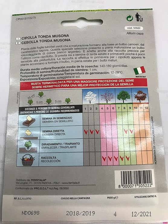 Semillas Cebolla Blanca (4 Gramos): Amazon.es: Jardín