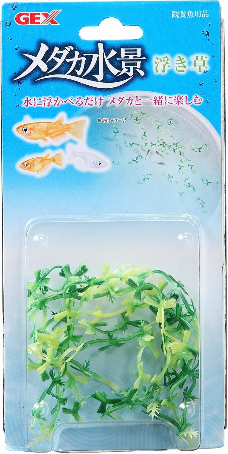 Amazon ジェックス メダカ水景 浮き草 ジェックス 人工水草 通販