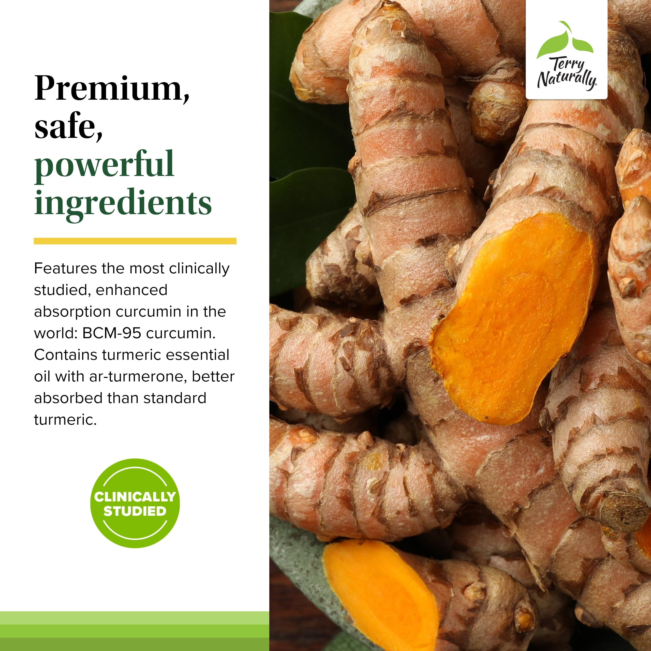 Terry Naturally Curamin - Curcumin Supplement for Circulation & Endorphin Support - Support for Occasional Discomfort - Aids Healthy Muscles - 120 Capsules