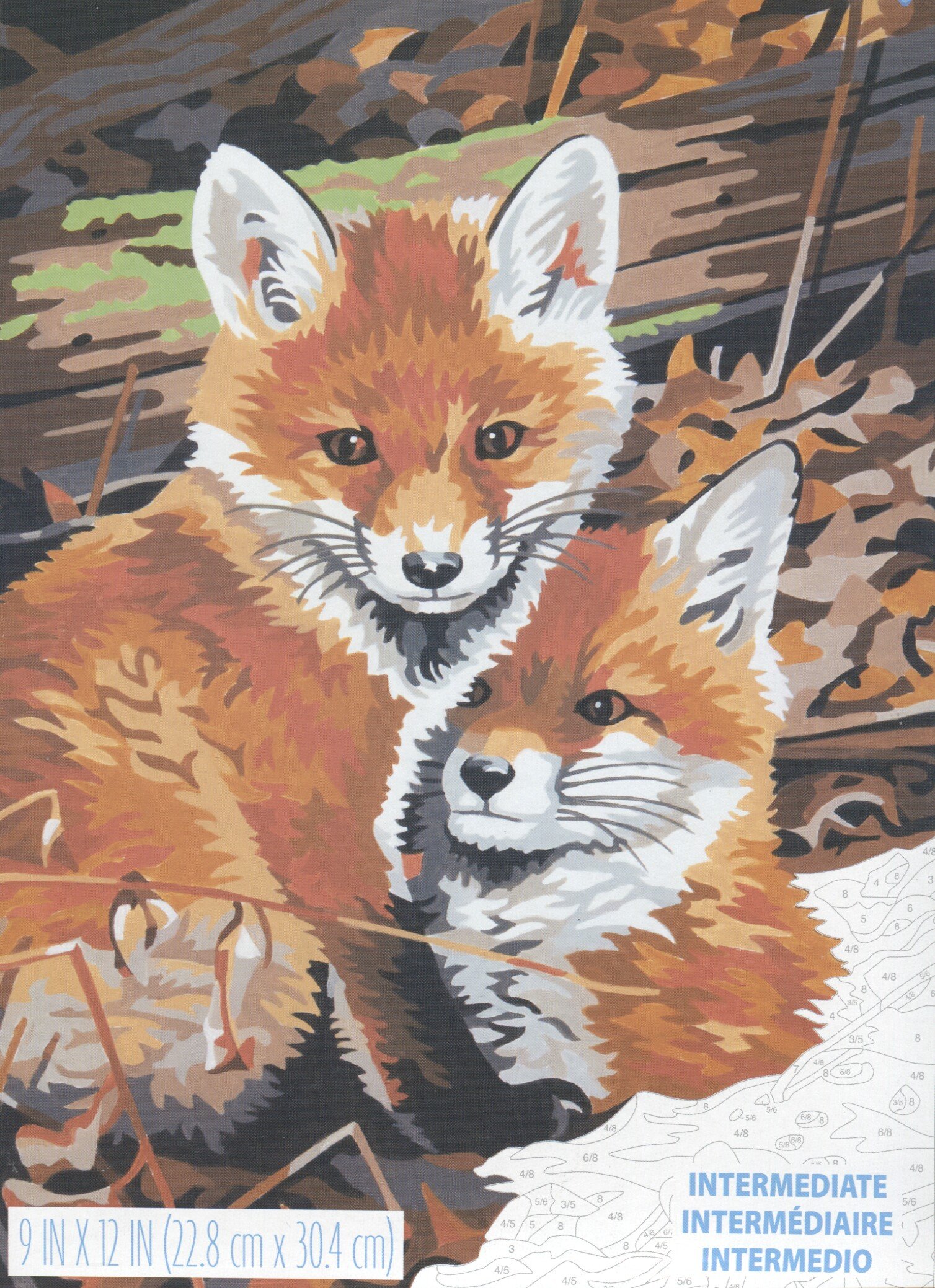 Paintworks 9 x 12-Inch Foxhole Paint Kit