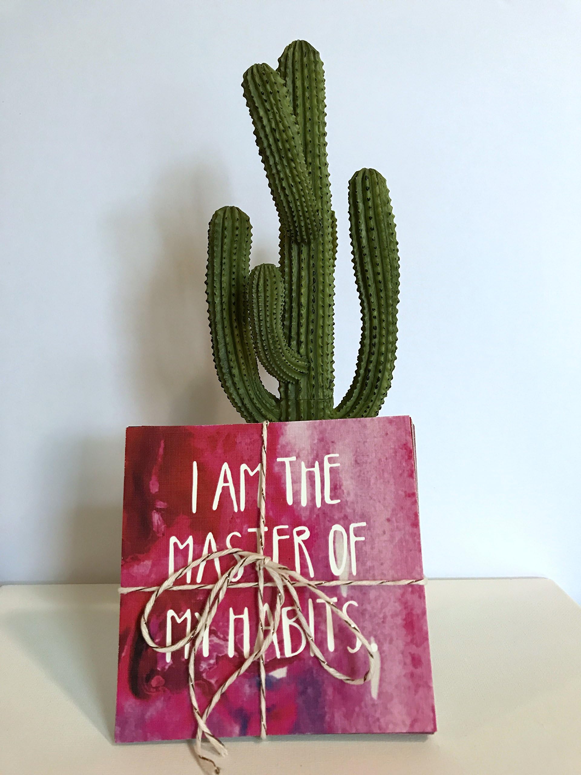 Positive Self Care Affirmation Cards by Fringe and Fitness | 28 Count Card Deck, Love Me: Nature, Health, Quiet, and Creativity for Inspiration and Motivation Mindset Training (All Cards)