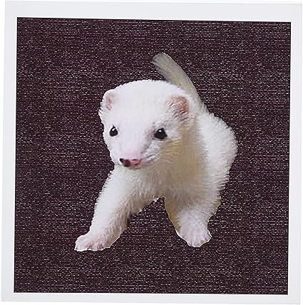 animal adventure llc stuffed animals