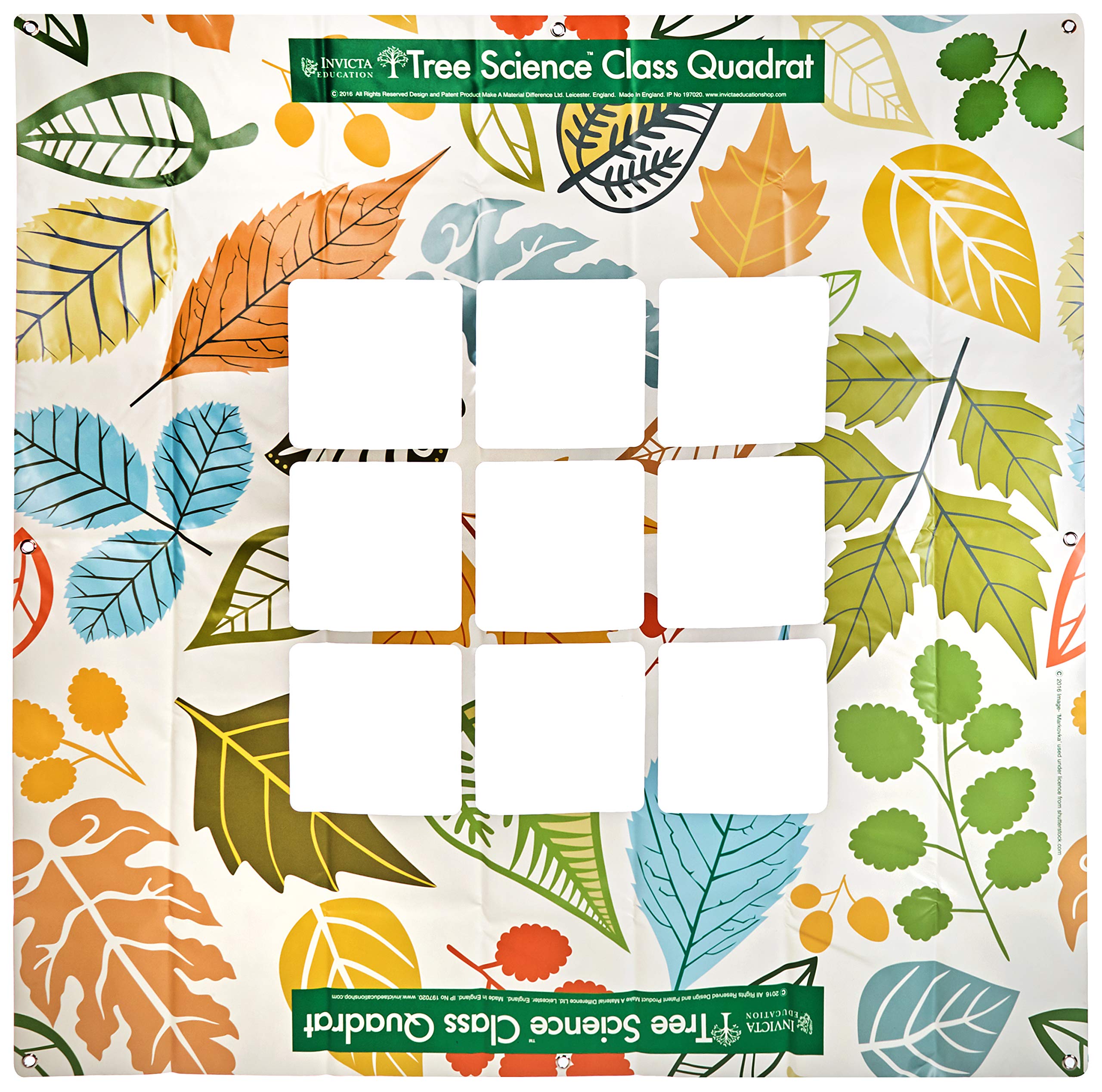 Invicta Education IP197320 Tree Science Class Quadrat, Leaves Design