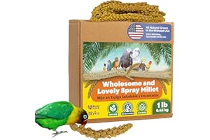 Birds LOVE Spray Millet – 1 lb GMO-Free, No Stems (Edible Tops Only) – Healthy Treat for Cockatiels, Lovebirds, Parakeets, Finches & Canaries